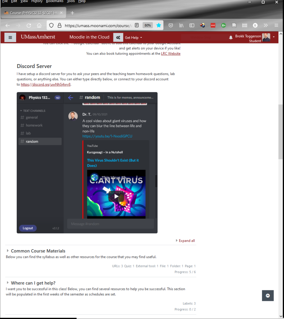 With widgetbot, a Discord server can be embedded within a Moodle page. 